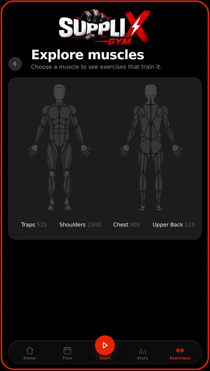 Explore muscles screen: front and back body map to pick exercises by muscle